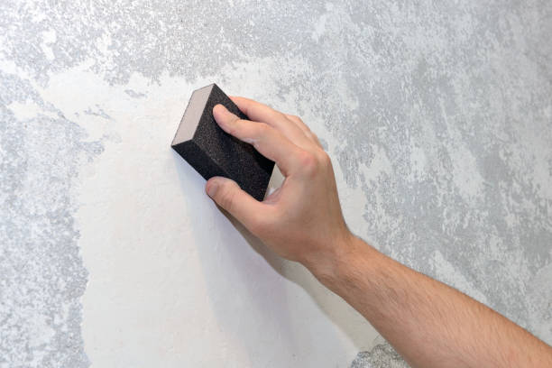 Best Mold Documentation for Insurance Claims  in Harrison, WI