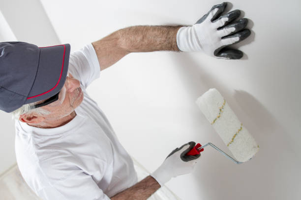 Best Mold Odor Removal Services  in Harrison, WI