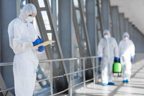 Mold Odor Removal Services in Harrison, WI