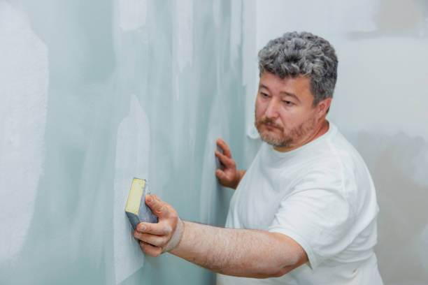 Best Dehumidification Services  in Harrison, WI